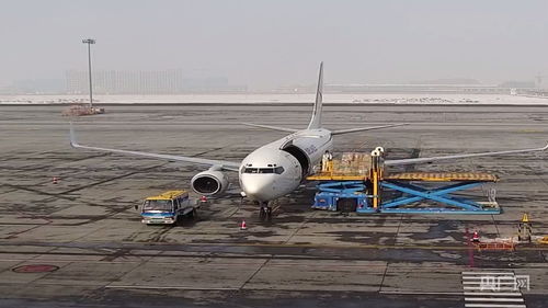 新疆國際貨運包機業(yè)務(wù)全面恢復(fù)，為國際物流注入新動能